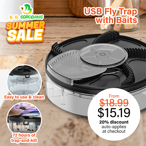 USB Fly Trap With Baits – B. B. Gardening