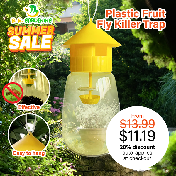 Plastic Fruit Fly Killer Trap